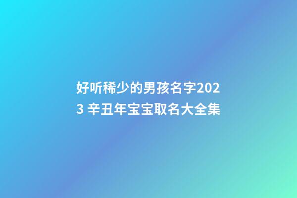 好听稀少的男孩名字2023 辛丑年宝宝取名大全集